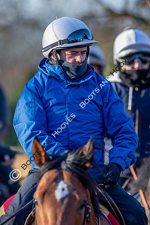 Newmarket Gallops