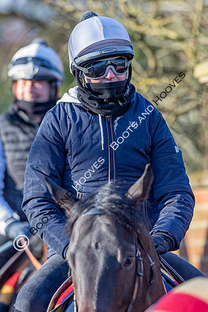 Newmarket Gallops