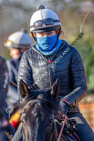 Newmarket Gallops