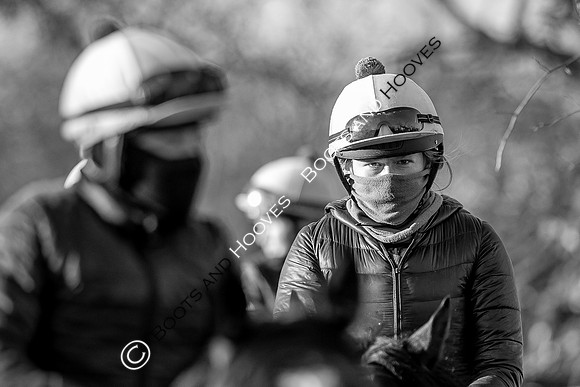 Newmarket Gallops
