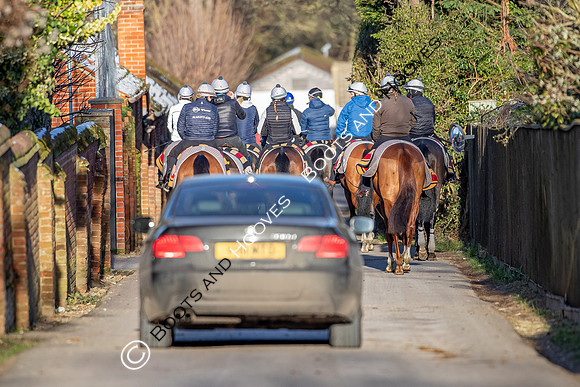 Newmarket Gallops