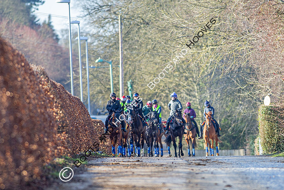 Newmarket Gallops
