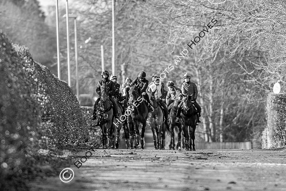 Newmarket Gallops