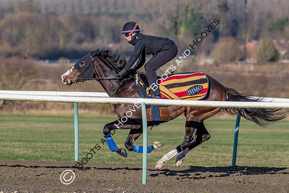 Newmarket Gallops