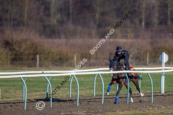 Newmarket Gallops