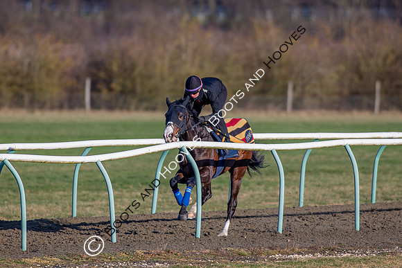 Newmarket Gallops