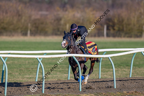 Newmarket Gallops