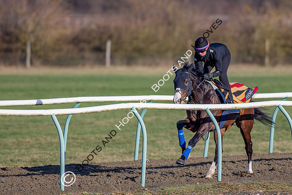 Newmarket Gallops
