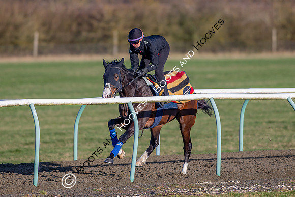 Newmarket Gallops