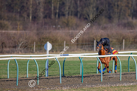 Newmarket Gallops