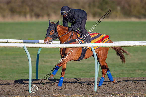 Newmarket Gallops