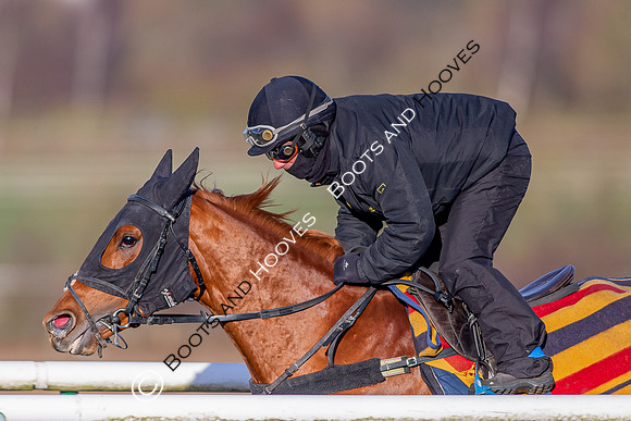 Newmarket Gallops