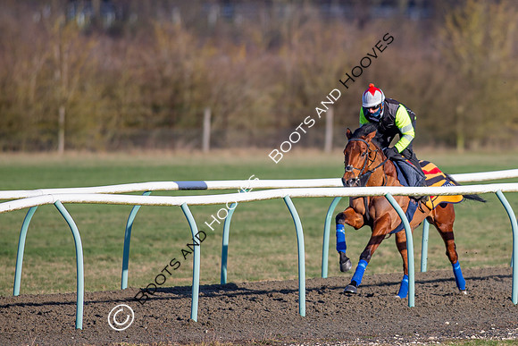 Newmarket Gallops