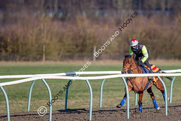 Newmarket Gallops