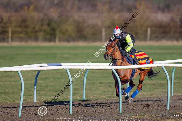 Newmarket Gallops