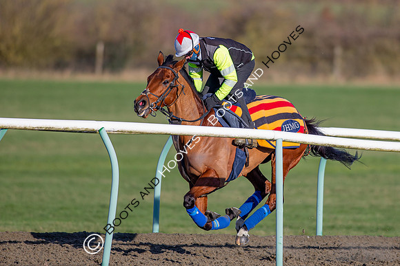 Newmarket Gallops
