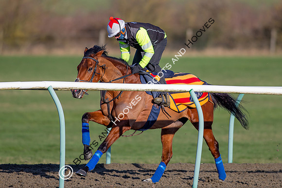 Newmarket Gallops