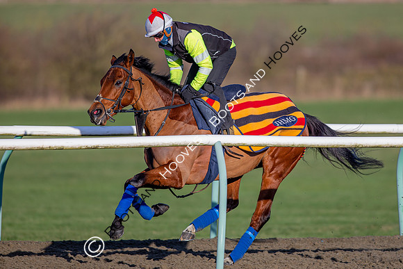 Newmarket Gallops