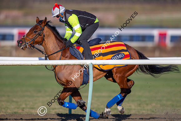 Newmarket Gallops