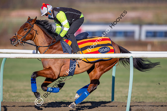 Newmarket Gallops