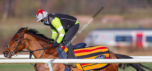 Newmarket Gallops