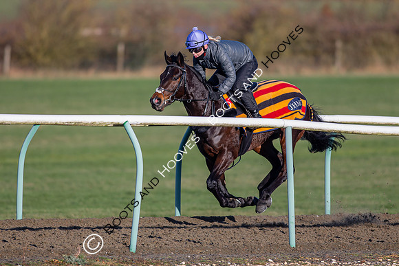 Newmarket Gallops