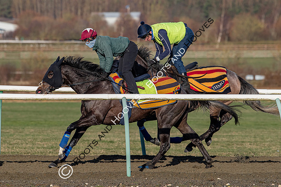 Newmarket Gallops