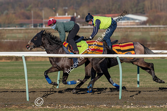 Newmarket Gallops