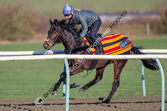 Newmarket Gallops