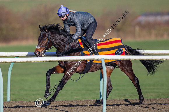 Newmarket Gallops