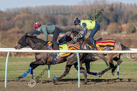 Newmarket Gallops