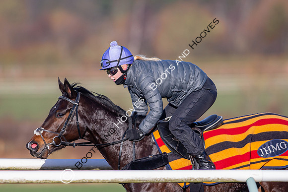 Newmarket Gallops