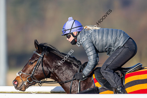 Newmarket Gallops