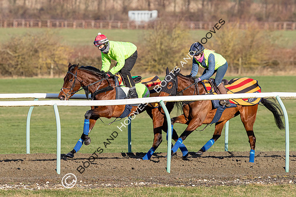Newmarket Gallops