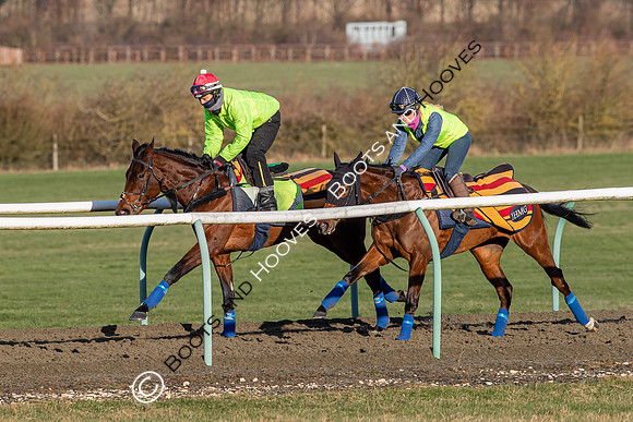 Newmarket Gallops