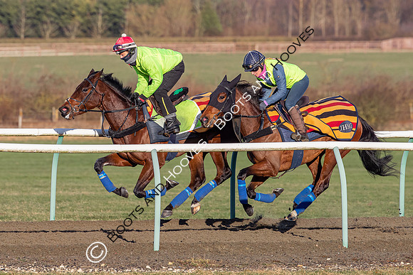 Newmarket Gallops