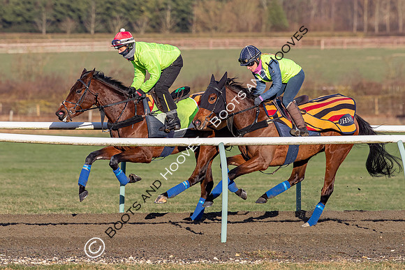 Newmarket Gallops