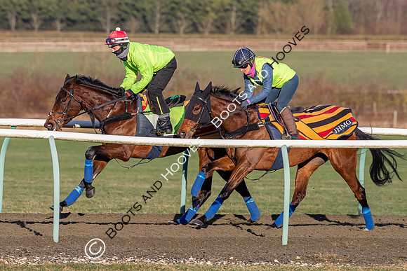 Newmarket Gallops