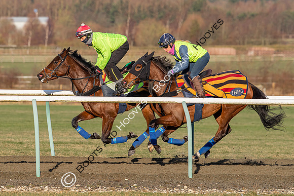 Newmarket Gallops