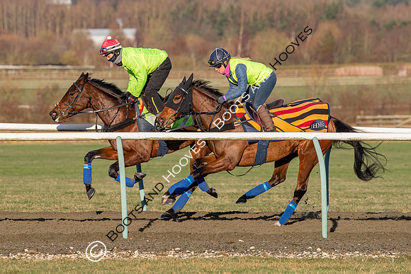 Newmarket Gallops