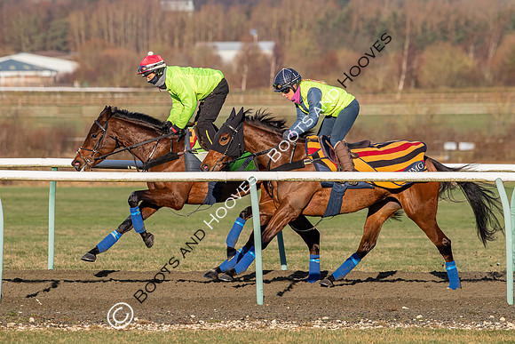 Newmarket Gallops