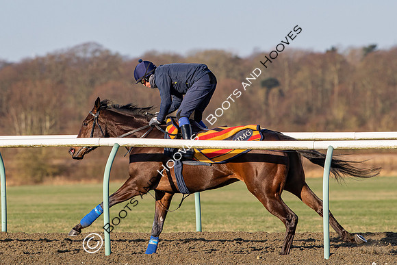 Newmarket Gallops