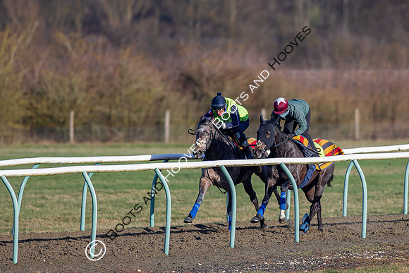 Newmarket Gallops