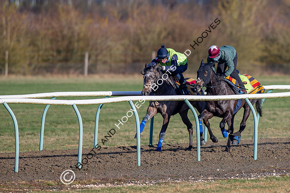 Newmarket Gallops