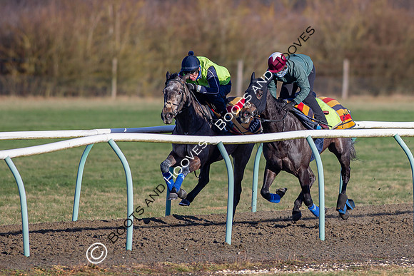 Newmarket Gallops
