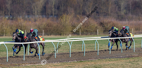 Newmarket Gallops