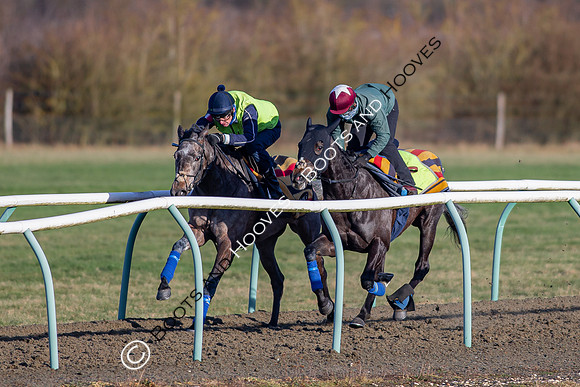 Newmarket Gallops