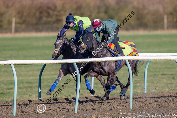 Newmarket Gallops