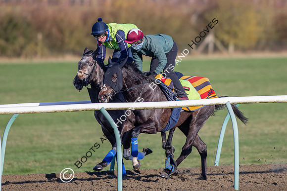 Newmarket Gallops