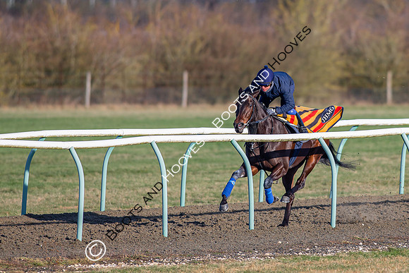 Newmarket Gallops